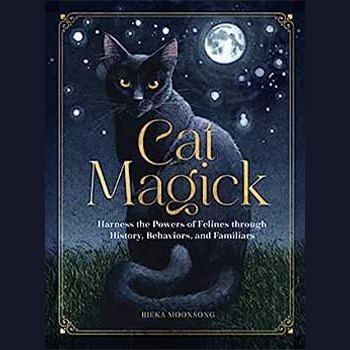 Cat Magick hardcover book by Minerva Radcliffe on feline energy and spirituality.