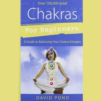 Chakras for Beginners by David Pond