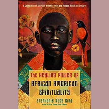 Healing Power of African American Spirituality book cover by Stephanie Rose Bird.