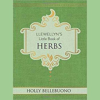 Llewellyn's Little Book of Herbs hardcover by Holly Bellebuono with green cover.