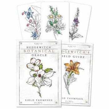 Hedgewitch Botanical oracle by Siolo Thompson
