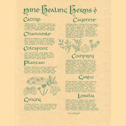 9 Herbs poster