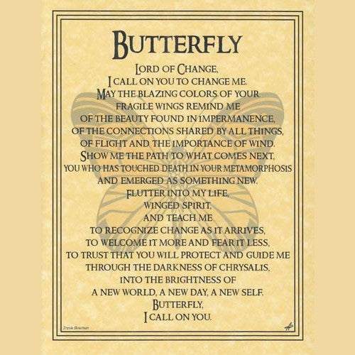 Butterfly Prayer poster