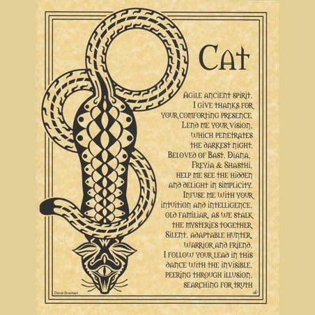 Cat Prayer poster