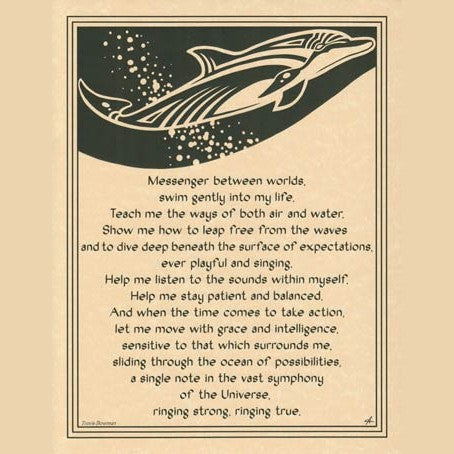 Dolphin poster