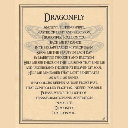 Dragonfly poster
