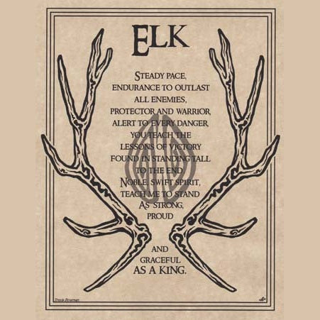 Elk Prayer poster