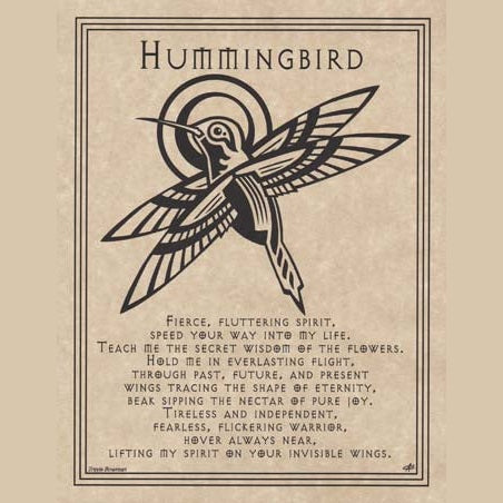Hummingbird Prayer poster