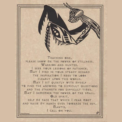 Mantis Prayer poster