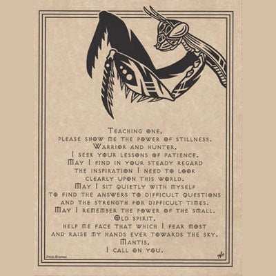 Mantis Prayer poster