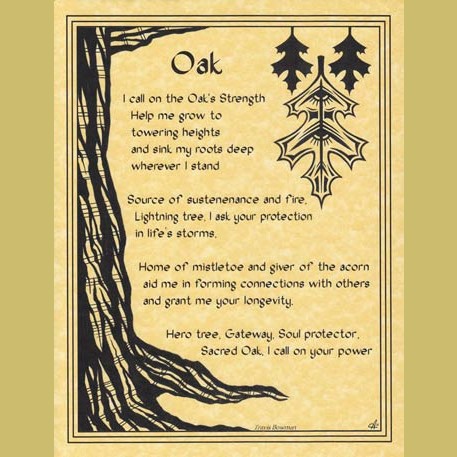 Oak poster
