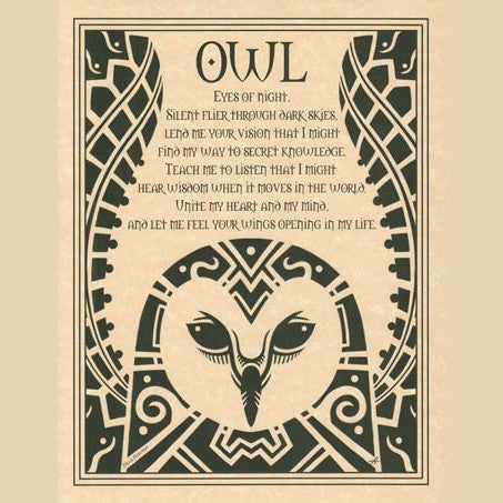Owl poster