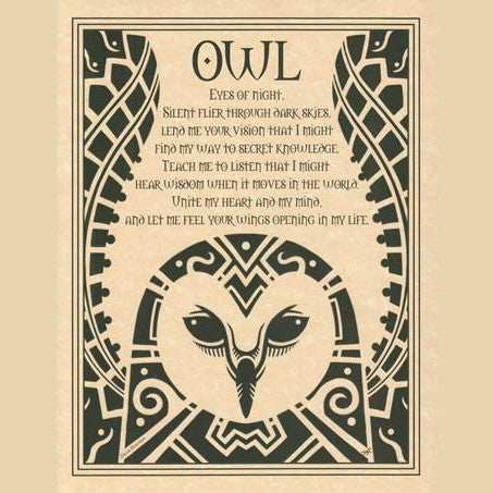 Owl poster