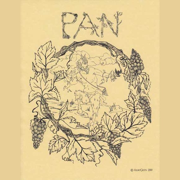 Joyful Pan poster