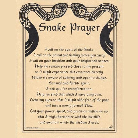 Snake Prayer poster