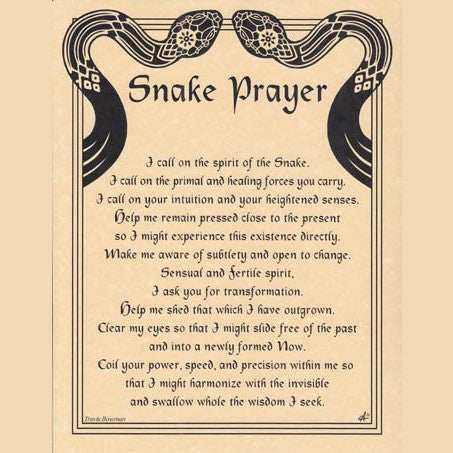 Snake Prayer poster