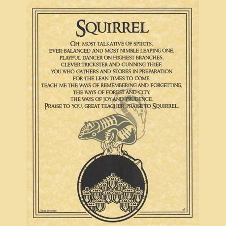 Squirrel Prayer poster