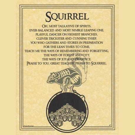 Squirrel Prayer poster