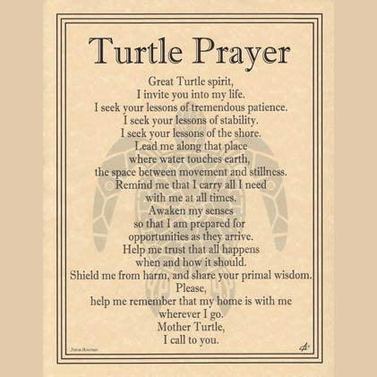 Turtle Prayer poster