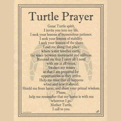 Turtle Prayer poster