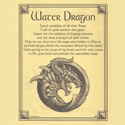 Water Dragon poster