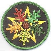 Oak Leaf Pentagram iron-on patch 3"