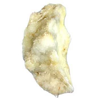 Septarian Jasper Cluster, 1.5-2.3 lb