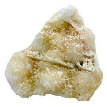 Septarian Jasper Cluster, 2.6-2.8 lb
