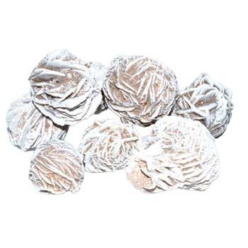 1 lb Desert Rose