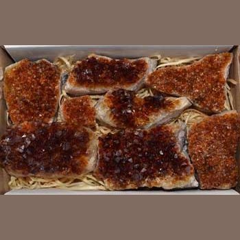 Flat of heat-treated Citrine druse points in varying shades of amber gold, natural raw crystals from Brazil