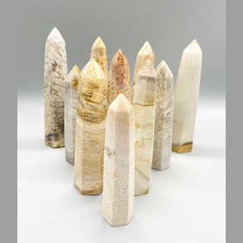 1 kg Coral, Fossil oblisk