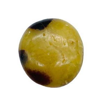 Jasper,Septarian palm stone