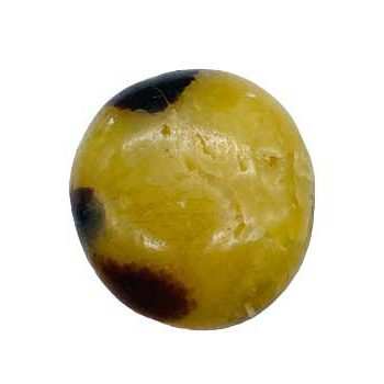 Jasper,Septarian palm stone