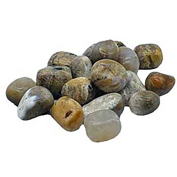 1 lb Agate, Dendritic tumbled