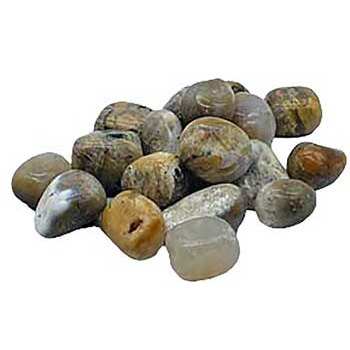 1 lb Agate, Dendritic tumbled