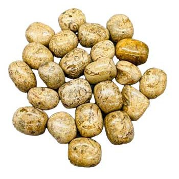 1 lb Coral, Fossil tumbled