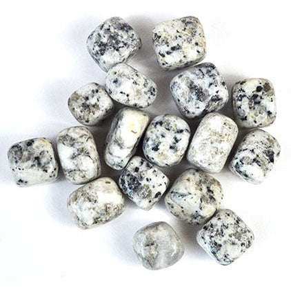 Dalmatian Jasper Tumbled Stones, 1 lb