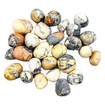 1 lb Jasper, Maligano tumbled