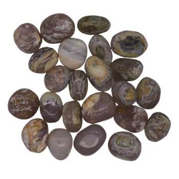 1 lb Opalized Petrified Wood tumbled stones