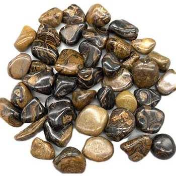 1 lb Stromatolite onyx Brown tumbled stones