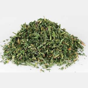 Alfalfa cut 1 oz (Medicago sativa)