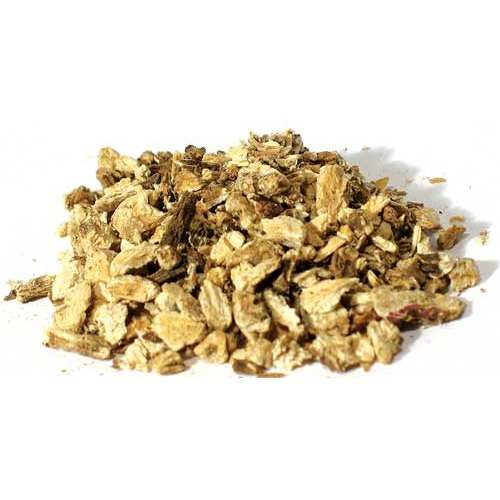 Angelica Root Cut, 2 oz (Angelica archangelica)