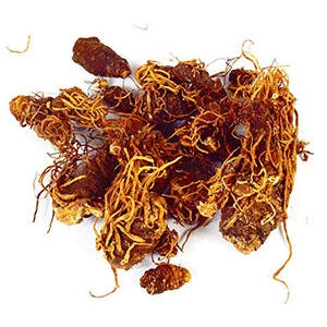 Beth Root whole 1 oz