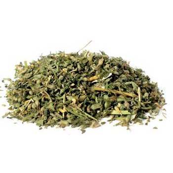 Catnip cut 1oz Nepeta cataria