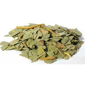 1 Lb Eucalyptus cut Eucalyptus globulus
