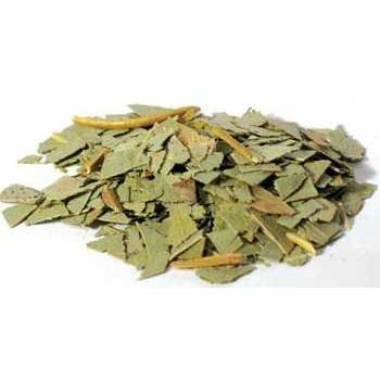 Eucalyptus Globulus Cut, 2 oz