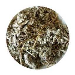 Five Finger Grass cut 2oz Cinquefoil