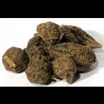 High John 1oz Ipomoea jalapa