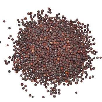 1 Lb Brown Mustard Seed
