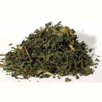 1 Lb Nettle "Stinging" Leaf cut Urtica dioica